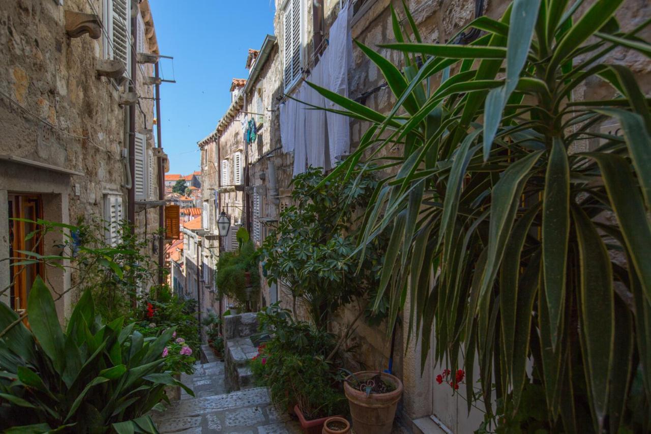 Apartman Mama Marija Dubrovnik Exterior photo